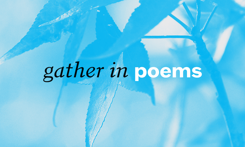 Gather in poems 2023 program