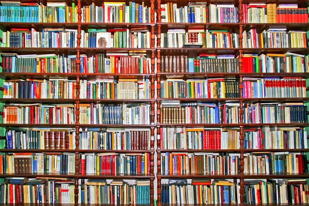 bookshelves of philosophy books